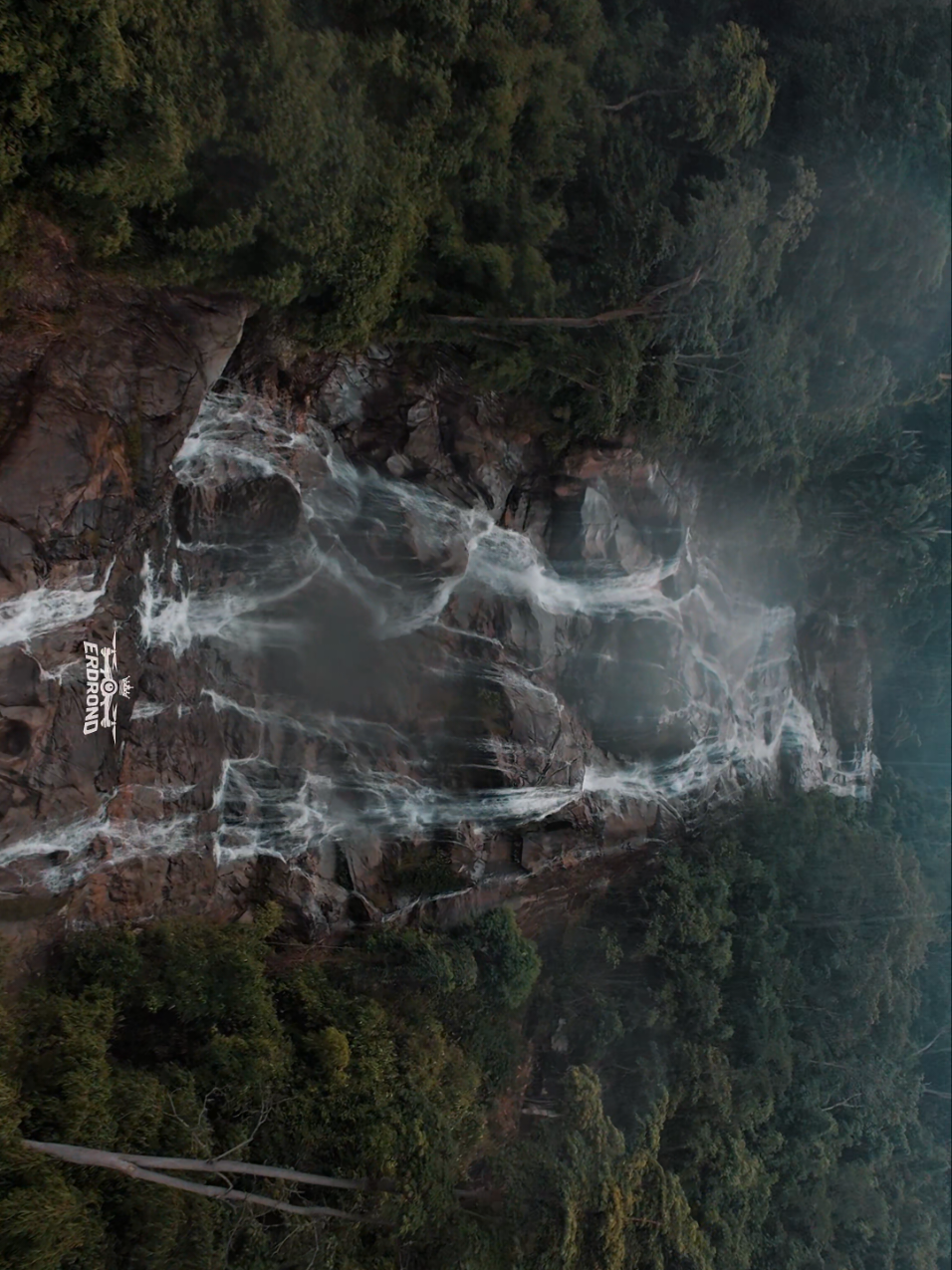 Rain & Nature 🍃🌿✨️ #malaysia #nature #forest #airterjun #drone 