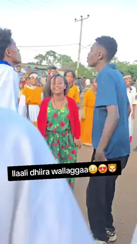 #viral #ethiopian_tik_tok🇪🇹🇪🇹🇪🇹🇪🇹 #viralvideo #pppppppppppppppp #oromotiktok❤️💚❤️ethiopiantiktok @Wallaggitii🌸🩵🦋✨😘 @ramme 