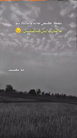 #repost  #tiktokteamoleaseviralmyvideo  #sindhipoetry  #viralvideo  #viral 