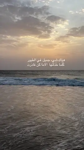 #العلاقات #المشاعر #الحياة #الواقع #عبارات_جميلة_وقويه😉🖤 