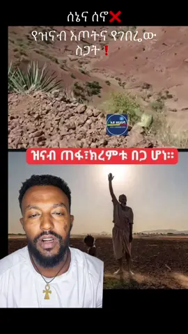 ሰኔና ሰኖ