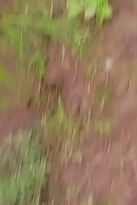 cx cx cc thooiiiiii