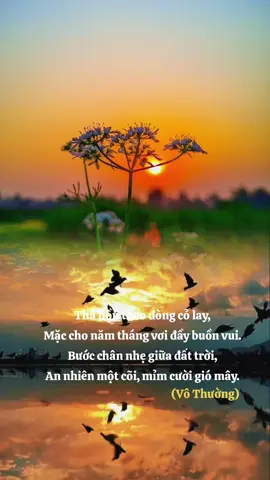 mây trôi bảng lảng sơn hà Tâm yên 1 cõi lòng hòa thiên nhiên☘️🌿