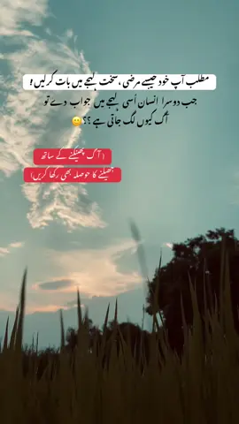( آ گ پھینکنے کے ساتھ جھیلنے کا حوصلہ بھی رکھا کریں)🙂✅#foryoupage 