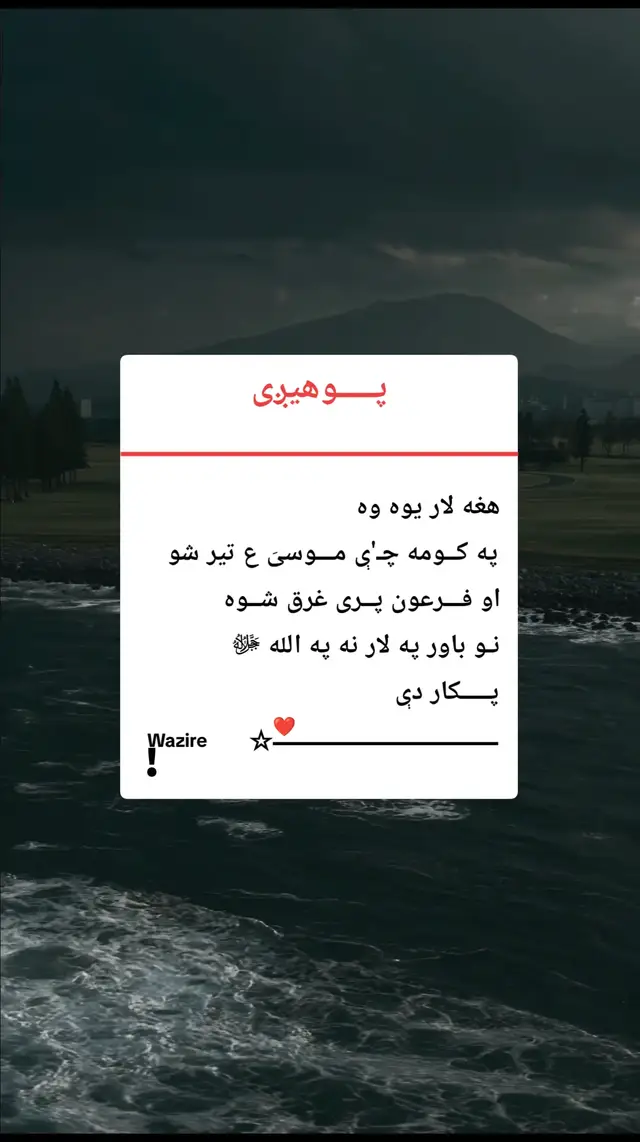 #هغه لاره یوه وه..!❤🍂📚 #ملتیا_مې_وکړه📚  #foryou  #fyp 