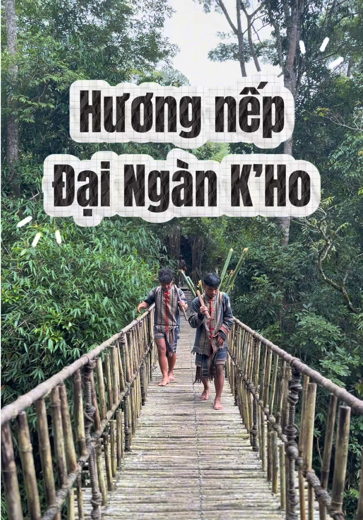 Hương nếp nương quyện trong ống tre non, nướng giữa đại ngàn se lạnh... Trải nghiệm làm cơm lam tại Làng Cù Lần chưa bao giờ làm mình thất vọng! Bạn đã thử chưa? 🌾🔥 #xuhuong #langculan #fyp #reviewdalat #dulichvietnam 