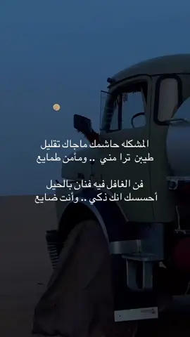 #creatorsearchinsights #  🐆