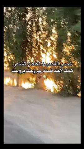 #باسم_الكربلائي 
