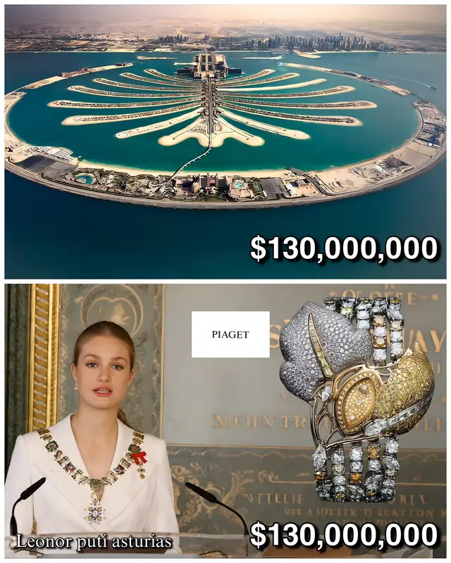 #princess #luxurywatches #fyp #rich #chic 