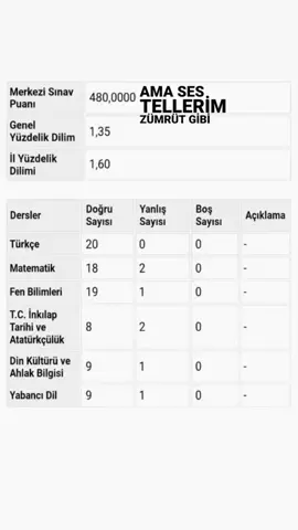 dm'den çok mesaj geldi ben kendi lgs senem de bu puanı aldım #fyp #keşfet #lgs 