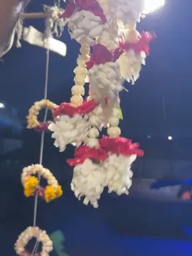 #nadirflowers 