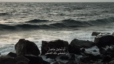 #عشوائيات #عبارات #explore 
