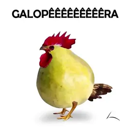 Galopêêêêêra | ib: @ManoelGomes_dazedit | tags:#fyyyyyyyy #fyyyyyyy #edit #meme #viraliza 