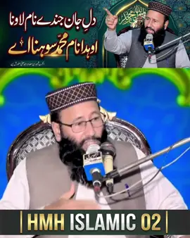 dil jan jidy naam launa ay oda naam Muhammad sona ay#naat #naatstatus #naatshareef #islamic_video #trending 