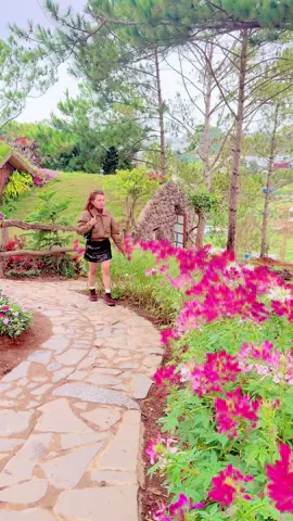 Nhường lại nổi đau#nhacsuymoingay #nhuonglainoidauremix #kieutran #xuhuong #viral?videotiktok😇😇 