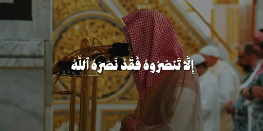 سورة التوبة : ٤٠ | #محمد_برهجي #الحرم_النبوي #مدينة_المنورة #تلاوات #قران_كريم 