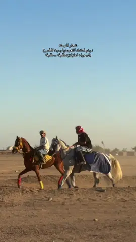 #ماشاءالله_تبارك_الله #خيول_السباق #تشغيل_خيول_السرعه🐴 #اسطبل_بن_نافل #اكسبلورexplore 