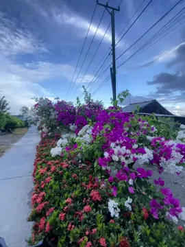 #creatorsearchinsights #hònmâyrútphúquốc  #xh#tiktok#nhachaycanhdep🌅🍀347322333223