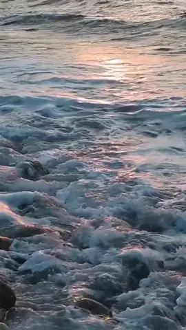 دنیا سراسر نشینو فریب است ♥️♥️♥️♥️
