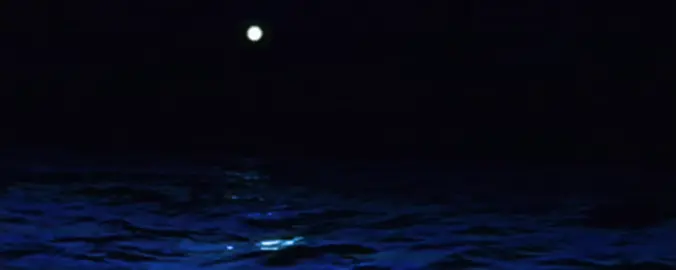 Dream Sweet in Sea Major - Miracle Musical #miraclemusical #lyrics 