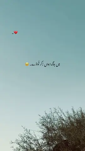 اج آدھائے بُھلنڑ دی کوشش کر🤌🏻🥹#foryou #foryoupage #jani_aesthetic #punjabi #punjabipoetry 
