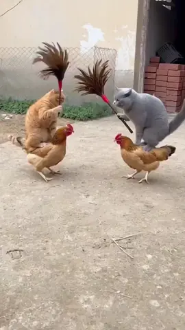 #fyp #foryou #viral #trending #tiktokviral #explore #entertainment #funnyvideos #couplevideos #Relationship #romance #dramascenes #shortvideo #viralvideo #contentcreator #africantiktok #comedyclips #lovevideo #acting #storytime #tiktokgrowth #dailycontent #videoviral #foryoupage #trendingshorts#prank #funny #comedy #comedyskits #prankvideo #funnyclips #laugh #comedyvideo #viralcomedy #entertainment#Love #couplegoals #relationshipgoals #romantic #couplelife #lovequotes #romance #couplevideo #lovecontent #Relationship#fyp #viral #tiktokviral #couplevideos #Relationship #romance #entertainment #foryoupage 