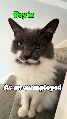 Day in a life as an unemployed 20 year old @niveamen  #dayinthelife #dayinthelifevlog #minivlogg #Vlog 