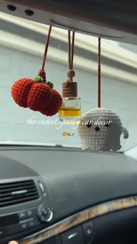 who else just loves halloween and fall 🍂🤍 #halloween #cardecor #spookyseason #fallseason #tiktokshopcreatorpicks 