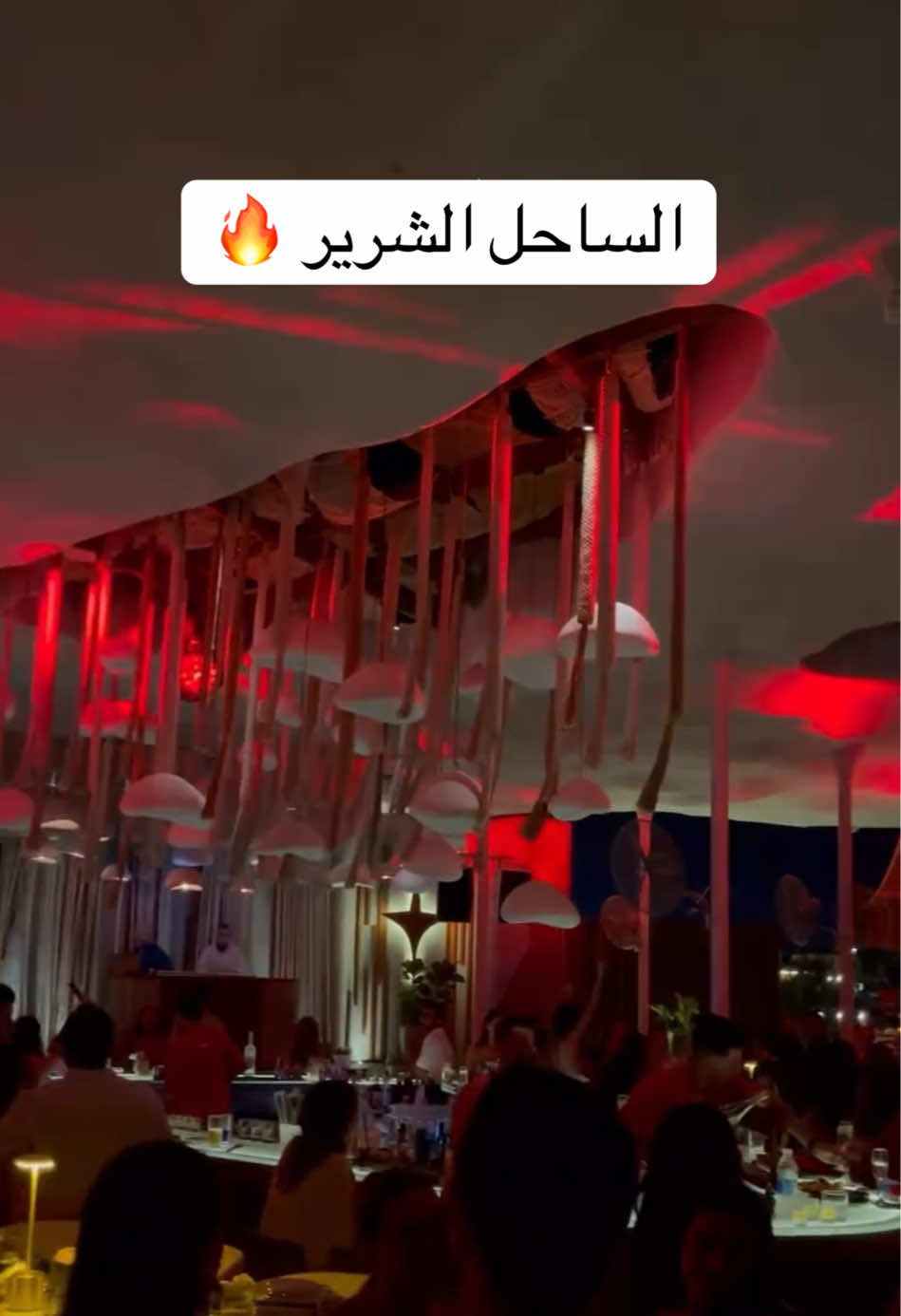 احلى اماكن السهر في الساحل  #الساحل_الشرير #حفلات_الساحل #اماكن_سهر_الساحل #لونجات_الساحل #كلوبات_الساحل 