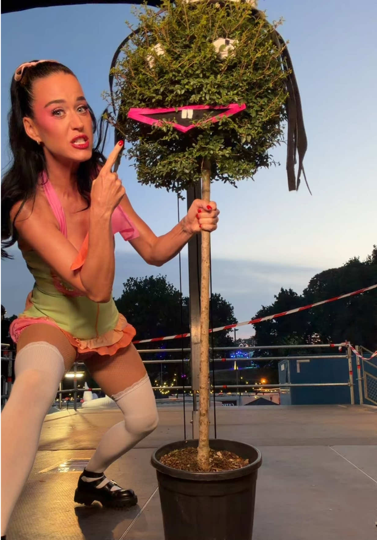 Watch It Burn with Robert 🌳