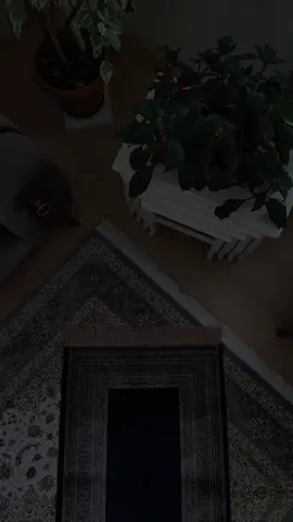 #muslim 