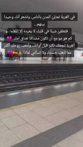 #الشعب_الصيني_ماله_حل😂😂 #belguim🇧🇪 #españa🇪🇸 #tiktokshop #lghorba 