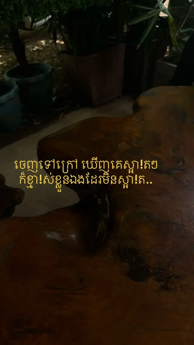 #feel_តាមអារម្មណ៍ #creatorsearchinsights #like #100k #fyp 