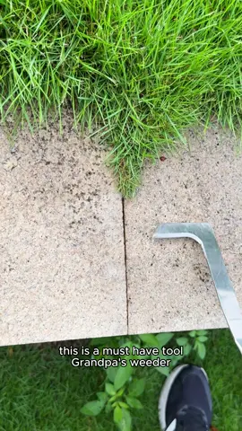 All-in-One Weeding Warrior! Tame your garden with ease. 🌿🛠️50% Off Limited Stock! Shop Now ❤️#GardeningHack #WeedingTool #MustHaveGadget #lawncare #SummerWins 