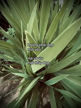 @🤍 