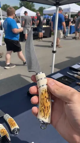 Tools suitable for picnics#camping #campinglife #knife #knifelife #18plus 