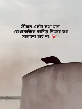 Hey ❤️‍🩹🕊️ #unfrezzmyaccount #viralvideo #foryou #foryoupage #bangladesh🇧🇩 @For You @TikTok Bangladesh 