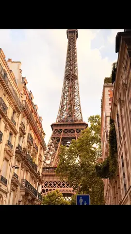 #bulgium🇧🇪 #italy🇮🇹 #france🇫🇷 #syria🇸🇾 #kuwait🇰🇼 Not every business owner started from scratch. Some were born into wealth. Starting from scratch means enduring separation from family and friends, braving cold, hunger, and thirst, and facing the most difficult situations. That's what starting from scratch is all about.