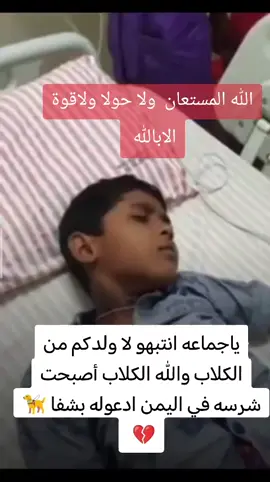 #اليمن #اليمن🇾🇪 #صنعاء #ترند_تيك_توك #تك_توك 