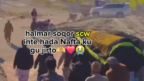 #halmar soqor saliga saliga Nab8ga scw