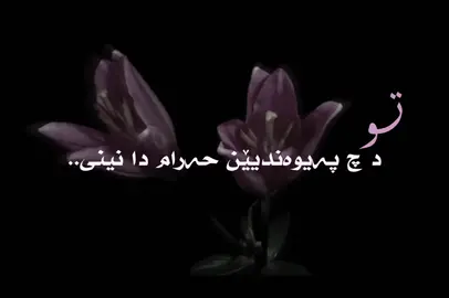 🩷''#actives? #nasheed #fyyyyyyyyyyyyyyyy #foryou #quran_alkarim 