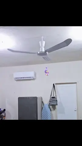 jajaja