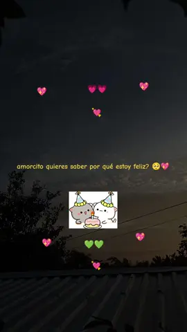 tenia que subir uno de aniversario🥺 feliz aniversario a esas lindas parejas💗 #aniversario #historia #feliz #siempre #parejas 