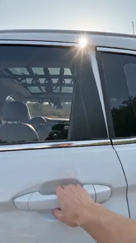 POV: Your car just got a fishing upgrade 🎣 5 rods, easy install, ‘chef's kiss’ for archers! 🚗 #weeklydeals #payday #FishingGear #CarHacks #TikTokMadeMeBuyIt #FishingRodHolder