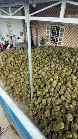 Ngon lành chưa 