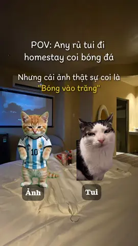 Bóng nào cũng là bóng mà đúng hong 🥺 #peacehome #homestay #homestayhcm #homestaycouple #meme 