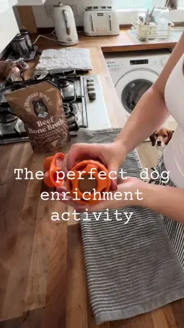 What a duo I have found you here 🤩  You can see Winnie patiently waiting for it too 🤭😋 Both linked in the post and in my tik tok shop 🥰💛 #enrichment #dogowner #dogmentalenrichment #healthydogs #happydog