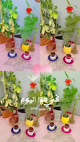 #في هذا اليوم