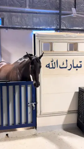 ماشاء الله ❤️❤️❤️❤️