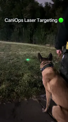 CaniOps Laser Targeting 🟢 Come and join us for our new class! #k9 #DogTraining #lasertargeting #mwd #policedog 
